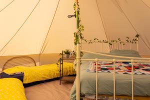 a room with two bunk beds in a tent at Battle Pods and Bells Glamping in Battle