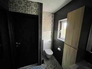 a bathroom with a toilet and a window at Villa bel horizon avec jacuzzi in Hotton +11 photos