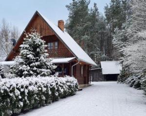 a house with a snow covered tree in front of it at Sowa i Kumple in Drezdenko