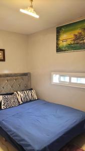 a bedroom with a blue bed and a window at Hebergement Tamazight 2 in Tarrast