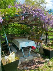 a picnic table under a pergola with purple flowers at Mta House Racha in K'veda Shavra