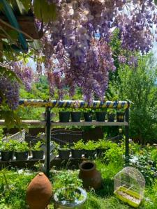 a garden with purple flowers hanging from a bench at Mta House Racha in K'veda Shavra