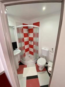 a small bathroom with a toilet and a shower at Casa Nelda in Marginea +20 photos