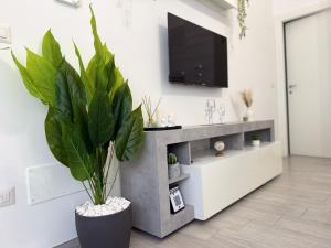 a living room with a tv and a potted plant at Room 28 in Conversano +17 photos