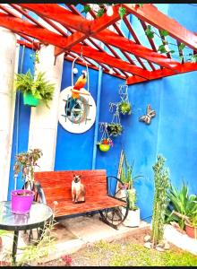 a cat sitting on a bench in front of a blue wall at El Sitio Azul Cabañas in Esquina