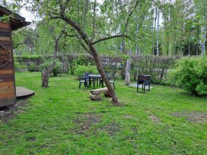 a park with a picnic table and a tree at Peaceful Cottage With Garden in Saulkrasti