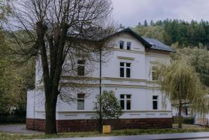 a white house with a tree in front of it at Sztuka Gór in Nowa Ruda