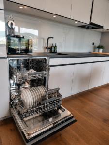 a dishwasher in the middle of a kitchen at Luxury Home JuNa in Aarau +6 photos