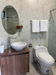 a bathroom with a toilet and a sink and a mirror at DLiam Home in Baños +14 photos