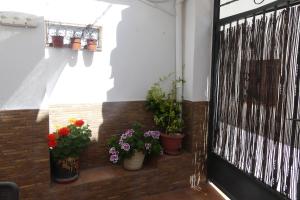 a group of potted plants on a wall next to a door at El patio de Marcos in La Recueja