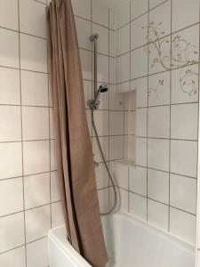 a shower with a shower curtain in a bathroom at Dianas Ferienwohnung 1 in Feldberg