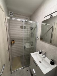 a bathroom with a shower and a sink at Boka Hub Apartments in Krašići +24 photos