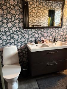 a bathroom with a sink and a toilet and a mirror at Hus Orsa in Orsa +7 photos