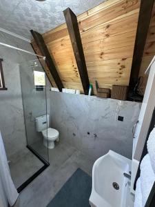a bathroom with a toilet and a glass shower at Agin Konak in Gusinje +33 photos