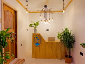 a room with a counter with plants in it at Serene Dhigurah in Dhigurah