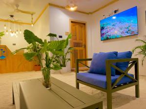 a living room with a blue chair and a table at Serene Dhigurah in Dhigurah