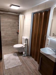 a bathroom with a toilet and a sink and a shower at Viktoria's B&B in Unterkulm