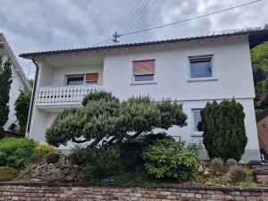 a white house with a tree in front of it at Monteurenwohnung Chez Danou in Idar-Oberstein