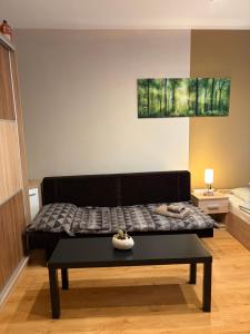 a bed in a room with a black bed frame at Casa Victoria in Pécs