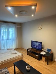 a living room with a flat screen tv on a wall at Casa Victoria in Pécs +17 photos