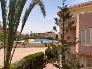 a palm tree next to a house with a swimming pool at casabianca north coast villa code 112 in Dawwār Muḩammad Abū Shanab
