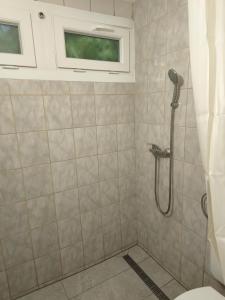 a bathroom with a shower with a toilet and a window at Erdőszéli vendégház in Dudar