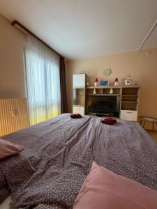 a bedroom with a large bed and a television at Casa Cristina in Pécs