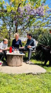 a group of people sitting on a bench under a tree at wine valley in Udabno +39 photos