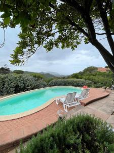 a swimming pool with two lounge chairs and a tree at Sea Sky Villa with private pool in Costa Paradiso +27 photos