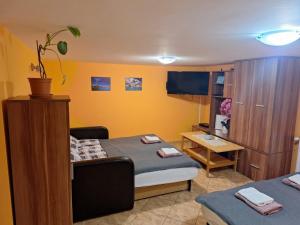 a room with a bed and a desk with a tv at Szonja Apartman in Egerszalók