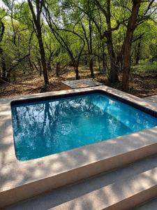 a swimming pool in the middle of a yard with trees at Dumela Afrika in Marloth Park