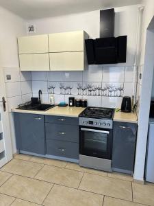 a kitchen with blue cabinets and a stove at Perfekt Place in Oświęcim