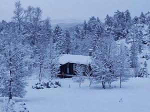 a house covered in snow in front of trees at koselig hytte i natursjønne omgivelser in Liland +8 photos