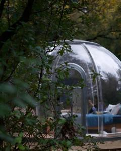 a person sitting in a bed in a dome at Bulle d'Alma - Bio climatique in Sotta