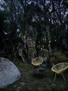 two chairs and a table in front of a tree at Bulle d'Alma - Bio climatique in Sotta