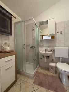 a bathroom with a shower and a toilet and a sink at Winery Bačić in Blato +25 photos