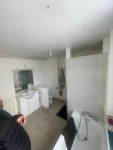 a room with a bathroom with a sink and a toilet at les chambres Carnot in Elbeuf