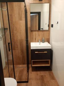 a bathroom with a shower and a sink and a mirror at Palomino pokoje agroturystyka in Świnoujście