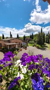 a garden with purple flowers in front of a building at Agriturismo San Pierino in Monteroni dʼArbia
