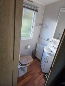 a bathroom with a toilet and a sink at High View in Freystrop