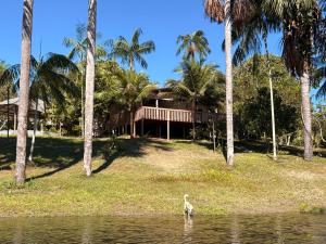 a bird standing in the water in front of a house at Ponta Poranga Jungle Lodge in Manaus