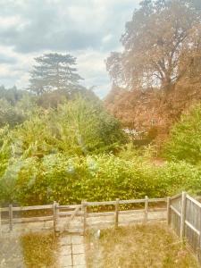 a fence in front of some bushes and trees at Superb House Sleeps 7 parking in Cambridge in Trumpington +32 photos