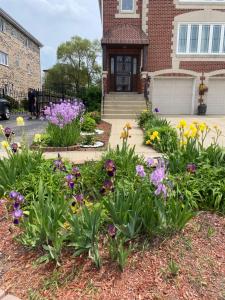 a garden of flowers in front of a house at 3BR-2BA Deluxe Apartment with Fireplace and Balcony in Niles