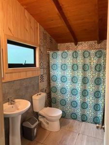 a bathroom with a toilet and a sink at Parcela Peumayen casa 1 in Coñaripe