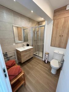 a bathroom with a toilet and a sink and a shower at Le Cosy in Saint-Marcellin
