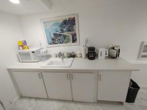 eine Küchenarbeitsplatte mit Spüle und Mikrowelle in der Unterkunft Quiet Ocean View Open Concept, Loft Style Studio within Forested Area, Near Parks & Ferry in Nanaimo