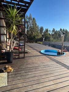a deck with a potted plant and a swimming pool at Paraisopingueral in Dichato