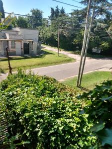a bush in front of a house and a street at El olivo apart in City Bell +6 photos