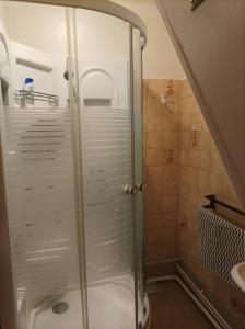 a shower with a glass door in a bathroom at L'Annexe - Bis in Chalindrey