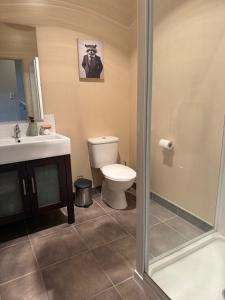 a bathroom with a toilet and a sink and a shower at Cardrona Alpine Luxe in Cardrona